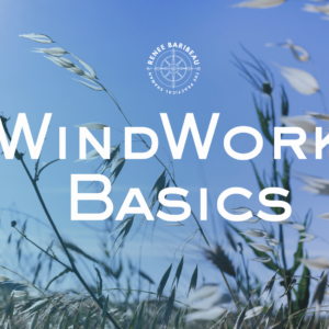 WindWork Basics