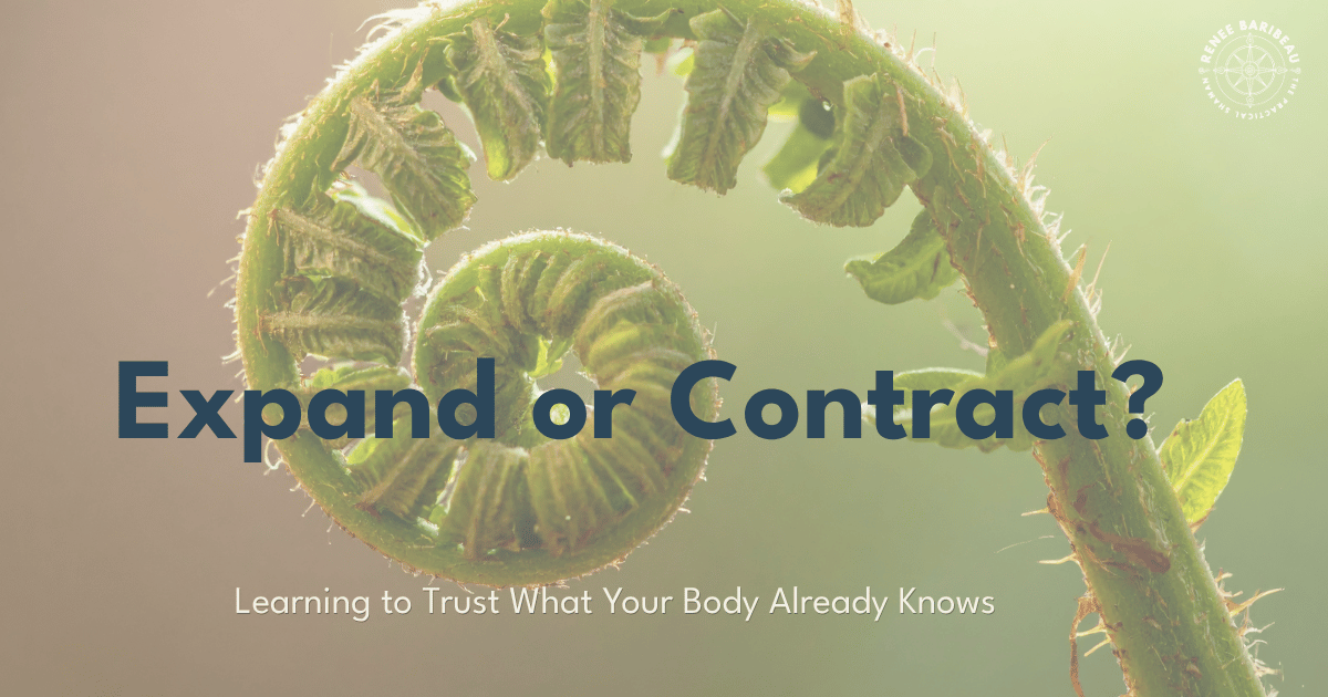 Unfurling green fern with the words “Expand or Contract? Learning to Trust What Your Body Already Knows.”