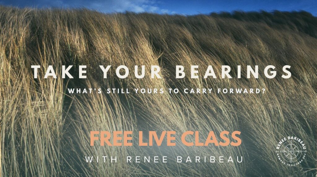 Take Your Bearings: What’s Still Yours to Carry Forward? 1 Windswept golden grasses overlooking the water at sunset for Take Your Bearings, a free class with Renee Baribeau.